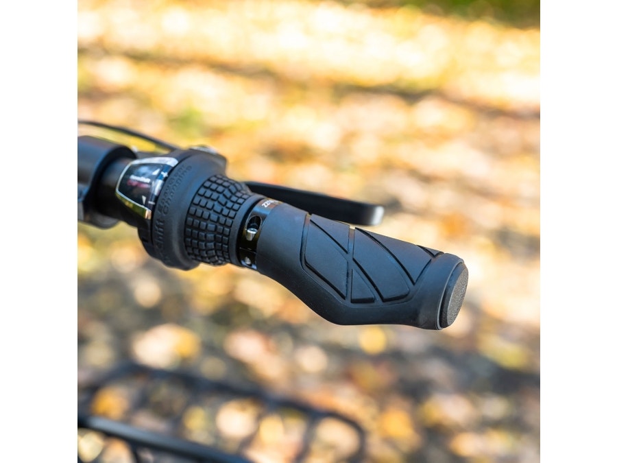 Buzz e-bike grips