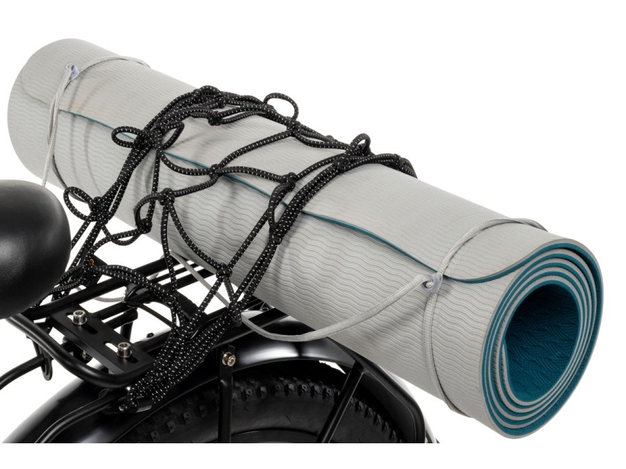 Buzz E-Bike Cargo net