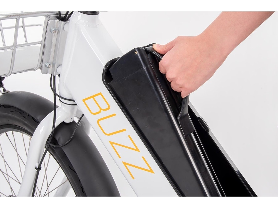 Buzz Spare Battery