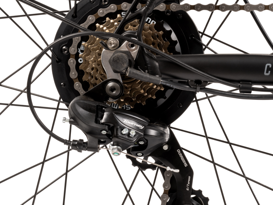 Cerana 2 Commuter Ebike