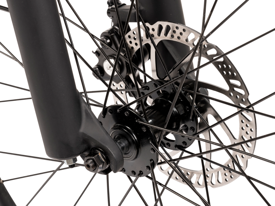 Cerana 2 Commuter Ebike