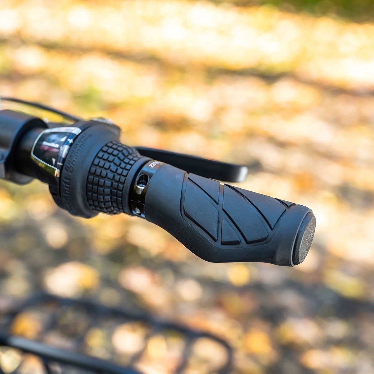 Buzz e-bike grips