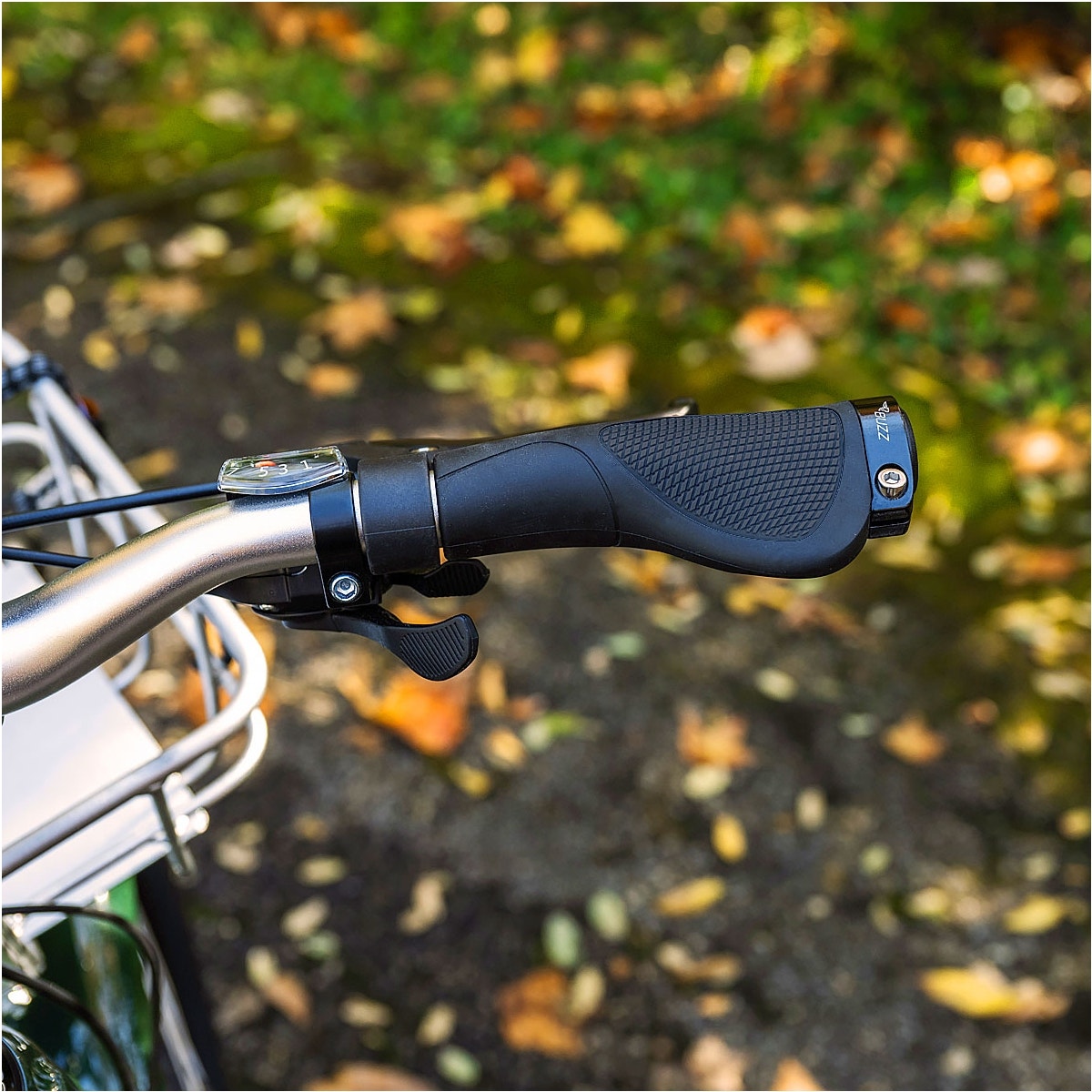 Buzz e-bike grips