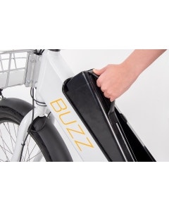 Buzz Spare Battery