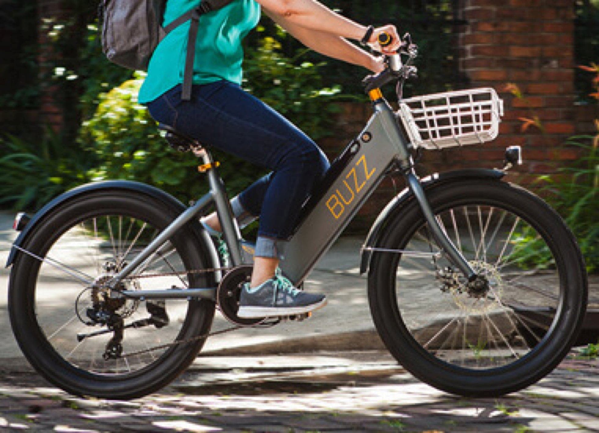 ebike-electric-assist